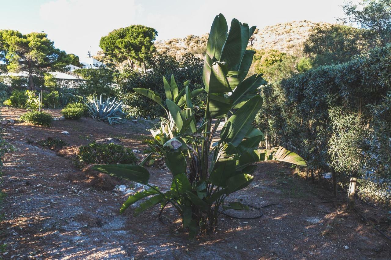 Villa Dei Sogni Vulcano  Eksteriør billede